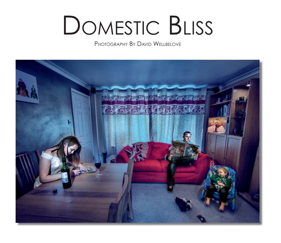 View Domestic Bliss by David Wellbelove