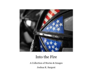 Into the Fire book cover