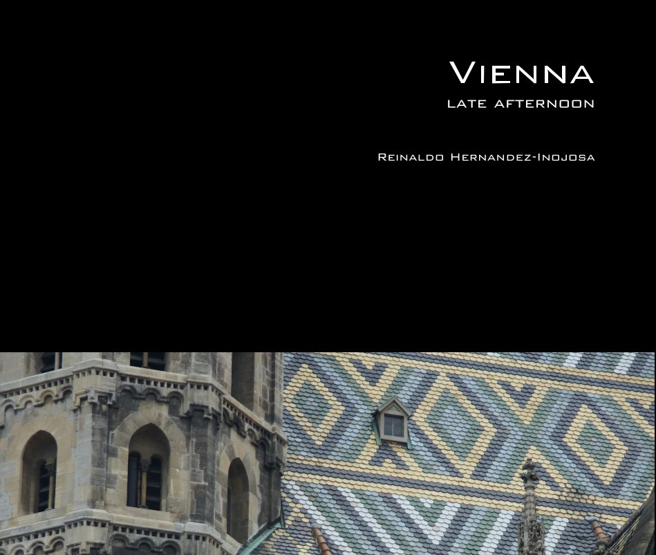 View Vienna by Reinaldo Hernandez-Inojosa