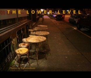 The Lower Level book cover