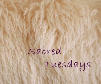 Sacred Tuesdays book cover