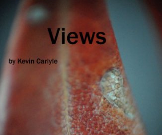 Views book cover