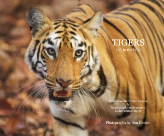 TIGERS - Life in the Wild book cover