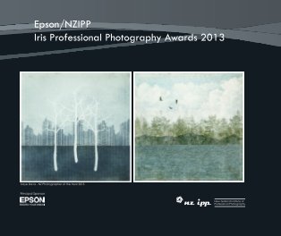 Epson/NZIPP Iris Professional Photography Awards 2013 book cover