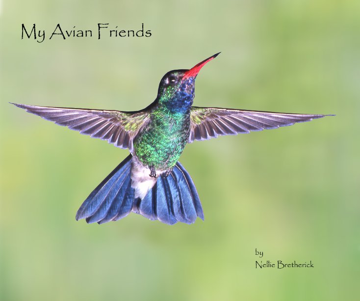 Ver My Avian Friends por Nellie Bretherick