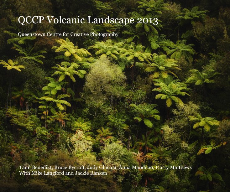 View QCCP Volcanic Landscape 2013 by QCCP
