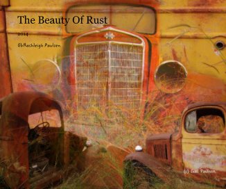 The Beauty Of Rust book cover