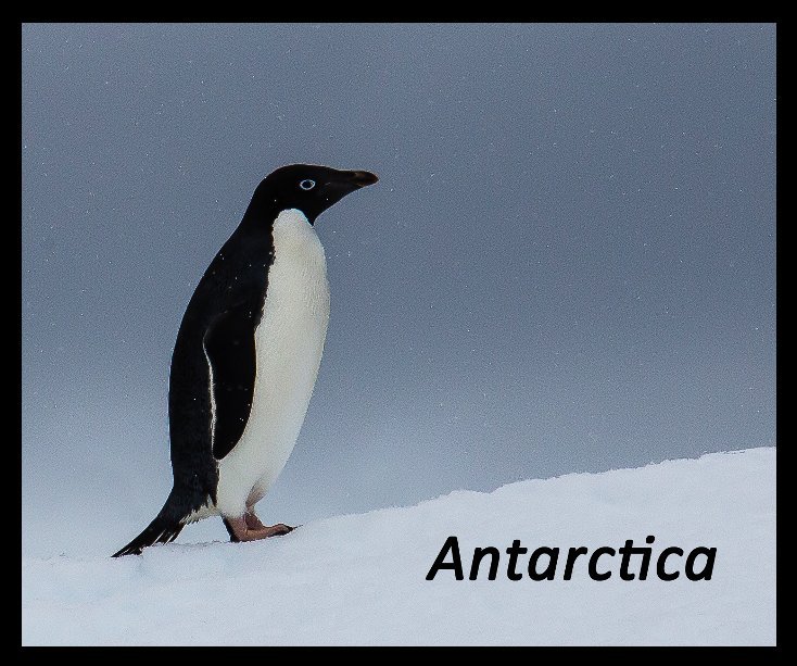 Ver Antarctica por Bob and Leaetta