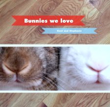 Bunnies we love book cover