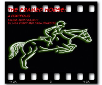 The Framed Horse: book cover