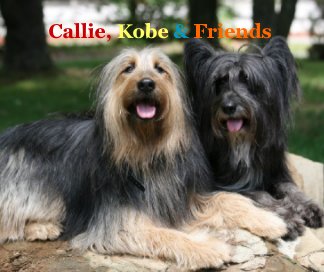 Callie, Kobe & Friends book cover