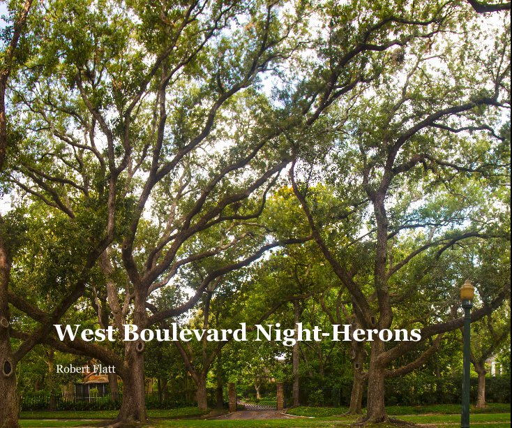 View West Boulevard Night-Herons by Robert Flatt