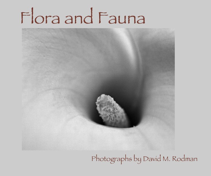 View Flora and Fauna by Photographs by David M. Rodman