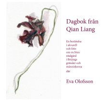 Dagbok från Qian Liang book cover