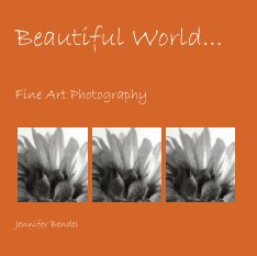 Beautiful World... book cover