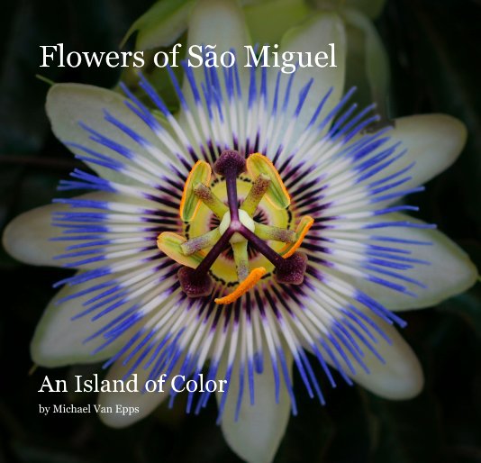 View Flowers of São Miguel by Michael Van Epps