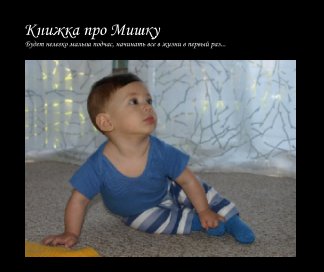 Knizhka pro Mishku book cover