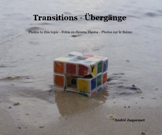 Transitions - Übergänge book cover