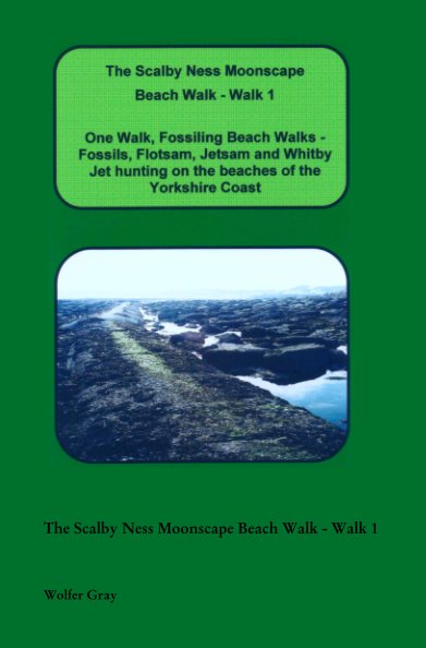 View The Scalby Ness Moonscape Beach Walk - Walk 1 by Wolfer Gray