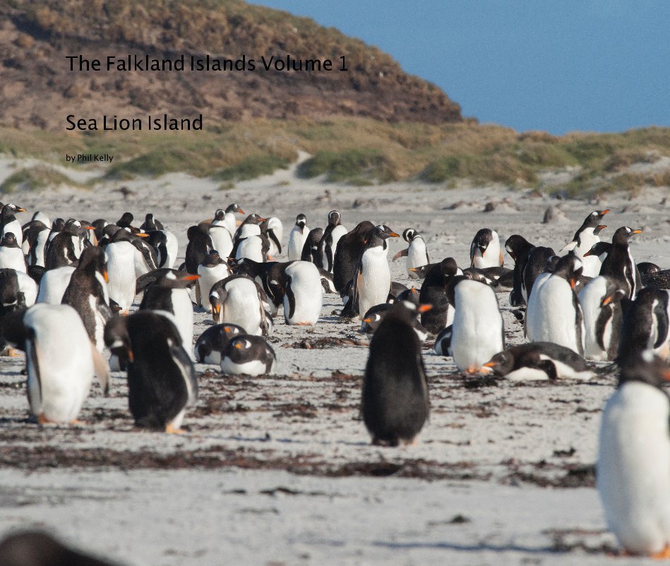 Ver The Falkland Islands Volume 1 Sea Lion Island por Phil Kelly