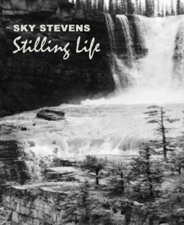 SKY STEVENS Stilling Life book cover