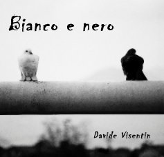 Bianco e nero Davide Visentin book cover