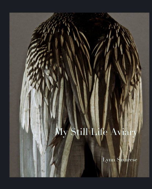 Ver My Still Life Aviary por Lynn Savarese