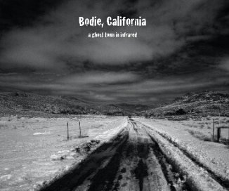 Bodie, California book cover