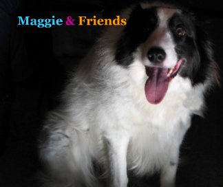 Maggie & Friends book cover