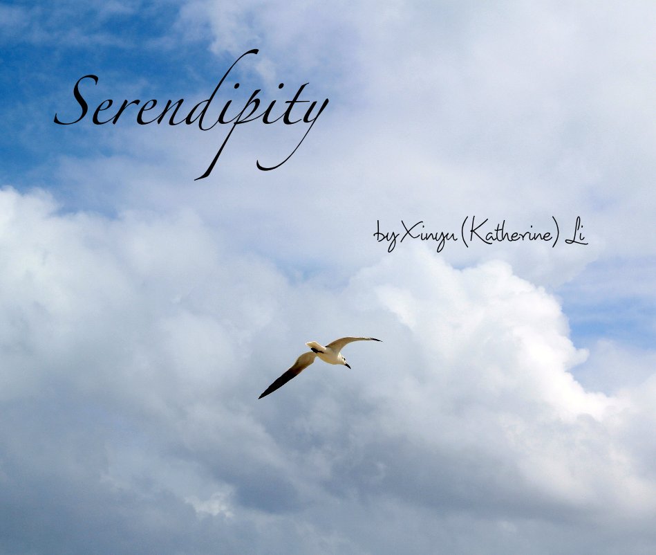 View Serendipity by Xinyu (Katherine) Li