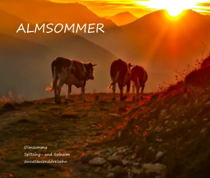 ALMSOMMER book cover