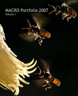 MACRO Portfolio 2007
Volume 1 book cover