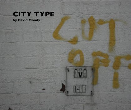 CITY TYPE by David Moody book cover