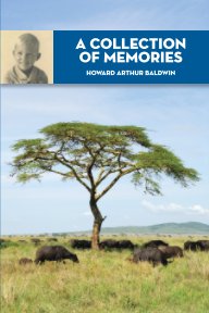 A Collection of Memories book cover