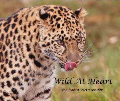 Wild At Heart book cover