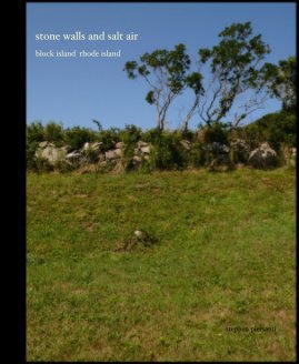 stone walls and salt air | block island rhode island book cover