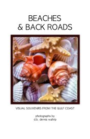BEACHES & BACK ROADS book cover