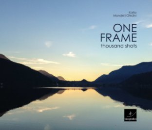 ONE FRAME book cover