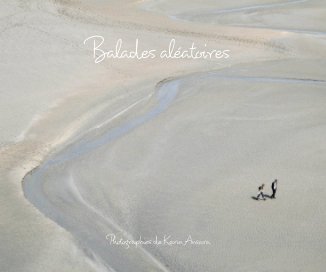 Balades aléatoires book cover