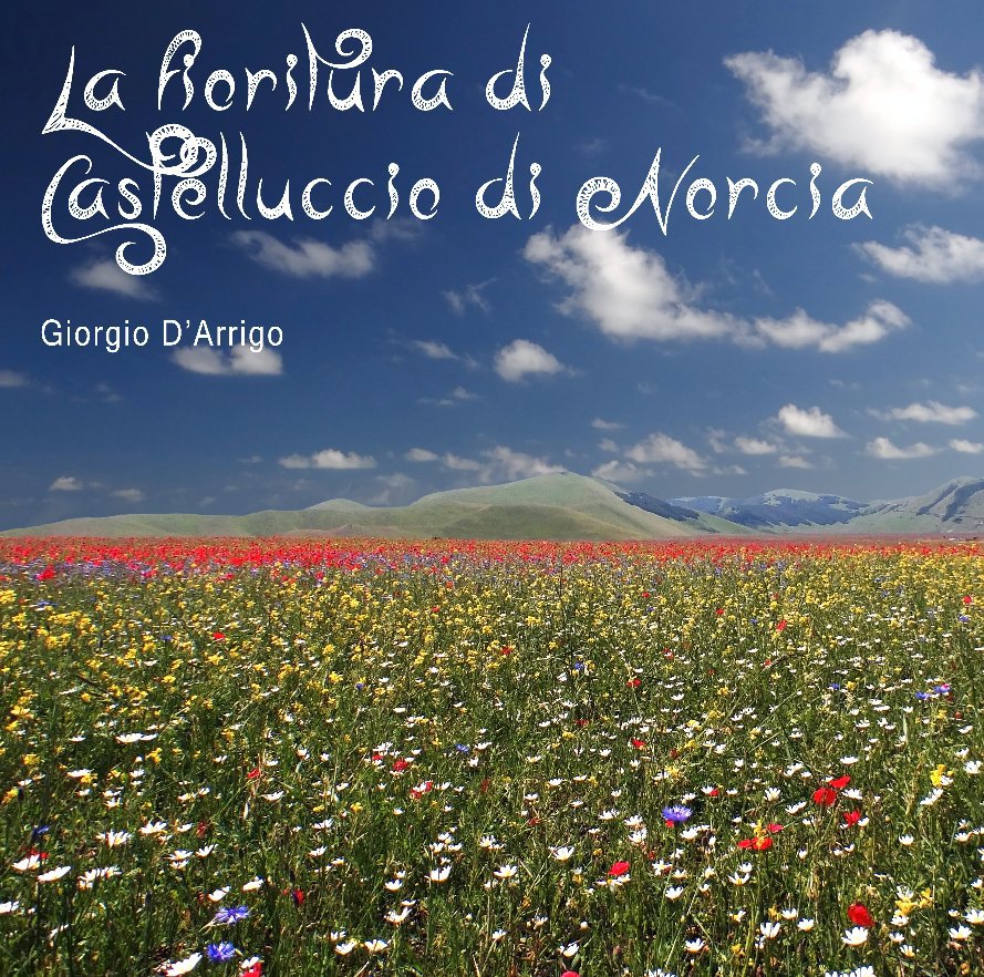 View la fioritura di Castelluccio di Norcia by di Giorgio D'Arrigo