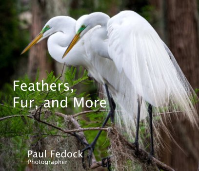 Feathers, Fur, and More book cover