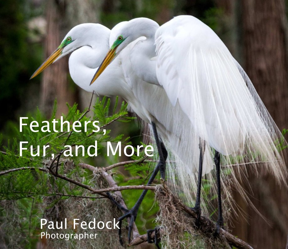 Feathers, Fur, and More nach Paul Fedock anzeigen