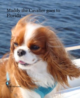 Maddy the Cavalier goes to Florida book cover