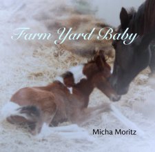 Farm Yard Baby book cover