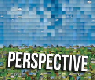 Perspective book cover