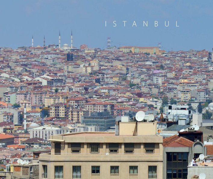 View istanbul by Flavijus Piliponis