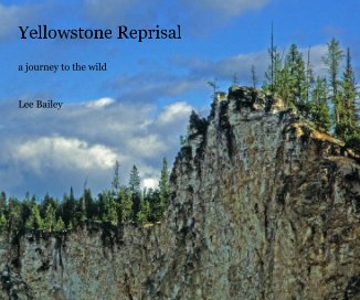 Yellowstone Reprisal book cover