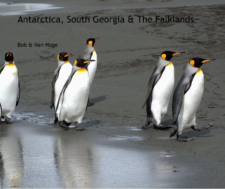 Ver Antarctica, South Georgia & The Falklands por Bob & Nan Hoge
