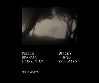 Pretos,  Brancos e Cinzentos  / Blacks, Whites and Grey's book cover