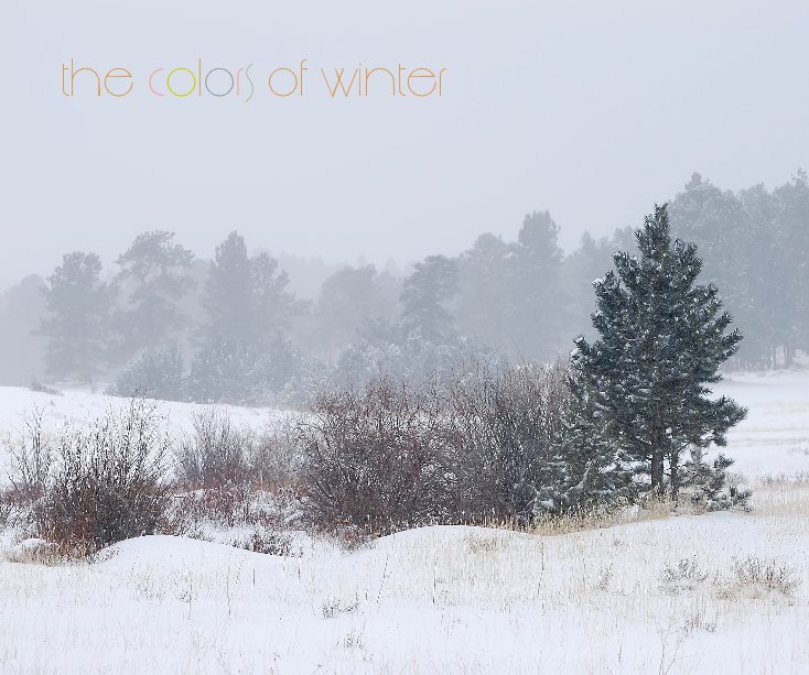 Ver the colors of winter por bildix